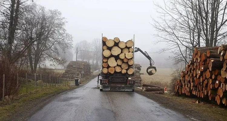 五月南方暴雨来袭，短期木材市场需求承压！_1